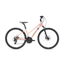 CTM MAXIMA 1.0 28" matná svetloružová 2026