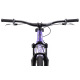 CTM DIRTKING 26" fialová 2026