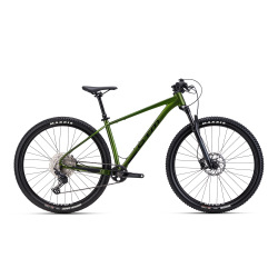 CTM RASCAL Xpert 29" zelená 2026