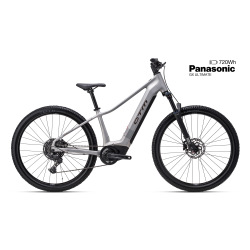 CTM RUBY GX PRO 29" matná strieborná / leská medená 2026